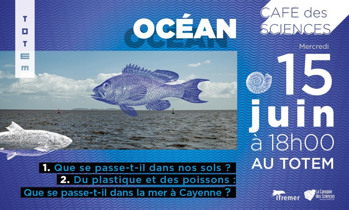 Océans : du plastique et des poissons / Café des sciences à Cayenne le mercredi 15 juin, 18h.